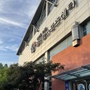 수원 딥스 프리다이빙 입문+초급반 3달 후기