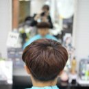 다비드헤어 이미지