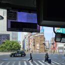 여유와즐거움마코토 | 스와시 여행 추천 후기] 마코토 감독 팬이라면 꼭 가봐야 할 타테이시 공원, 그 이상을 만나다