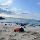 솔렌트카(주) | 10개월 아기 제주도 여행 준비물 체크리스트｜아기 여행용 침대, 기내반입 유모차, 이유식 파는 곳, 꿀팁