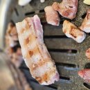 바다와 하루 이미지