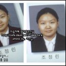 내양 Daum카페