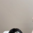 뚜뚜멍멍 이미지