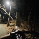 세븐일레븐(신도점) 이미지