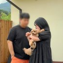 홍천감성공간 | [홍천] 애견동반펜션_감성공간🏡방문 후기_내돈내산