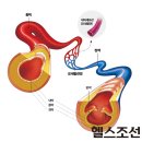 해피에이징 프로젝트-02. 혈관건강, 맥을 짚어라 이미지