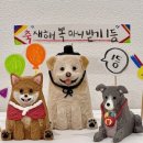 댕유 이미지