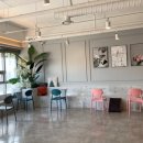 봄가을 애견미용 이미지