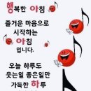 하루 사용 설명서 이미지