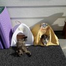 성훈세탁소 이미지