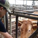 신우사우나 이미지