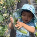 서울근교 일산 가볼만한곳 : 여름수영장개장 꼬마농부놀이터 키즈카페 물놀이후기