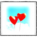 팜네이처스 이미지