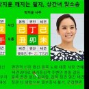 부부 아나운서 출신 최동석 박지윤 이혼 소송중 상간녀 소송 전까지 벌여야 하는 팔자인가? 이미지