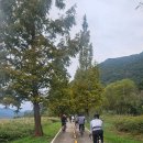남지철교길 | 미라클 남지 라이딩 후기