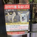 천양수영골드타워 | [부산 수영 맛집/수영 술집]팔도시장 족발 맛집, 족발쟁이