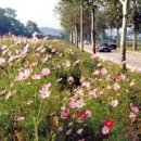 미류네 농장 이미지