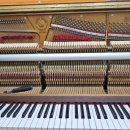 서울메네스음악학원 이미지