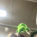 소금막호스텕 | 웃자.