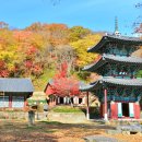 덕례농장 이미지