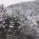 야호 이미지
