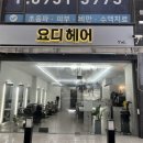 로망미용실 | 탈색맛집 응암역미용실 요디헤디후기