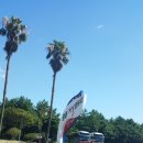 중문진실캠핑장 이미지