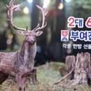 부여건재약업사 이미지