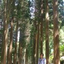 보성로뎀 이미지