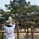 중부-현장-중부-500 | 오키나와 동물원 아기랑 일본여행 갈만한 곳 중부 어린이나라 입장권