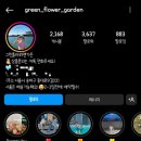 송파 가락시장역 꽃바구니 선물 내돈내산 그린플라워앤가든
