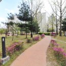 하트공인중개사사무소 이미지