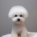 멍분의 멍 이미지