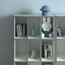 오브제:(OBJET:) | 시즈닝오브제(seasoning.objet) | 머쉬룸수납함 | 인테리어 소품 추천 | 내돈내산 후기