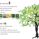 더예쁨피부관리실