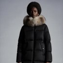 마로니에르