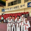차오름태권도 체육관 이미지