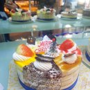 브레드바바 이미지