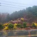 소주고개농장 이미지