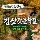 한국관광명품점 | 영월 명품숲길 추천, 김삿갓문학길 코스·포토존·소요시간 총정리