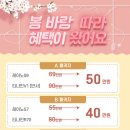 강릉자동차유리 이미지