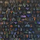 가장자리 이미지