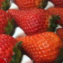 나길농장 이미지