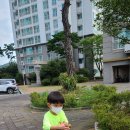 꿈드리유치원 이미지