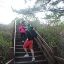 미륵산전망대 이미지