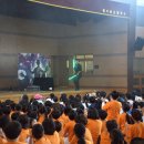 버블&레이저쇼 이미지