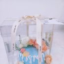 시옹(xiong) 이미지