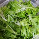 늘푸른농장1 이미지