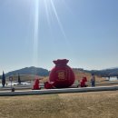 순천만국가정원 꿈틀정원 화장실 | [여수여행] 순천만국가정원 겨울방문후기 '우리 같이 걸을래요?^_^