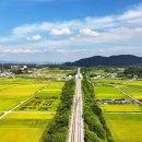 황금들녁 이미지